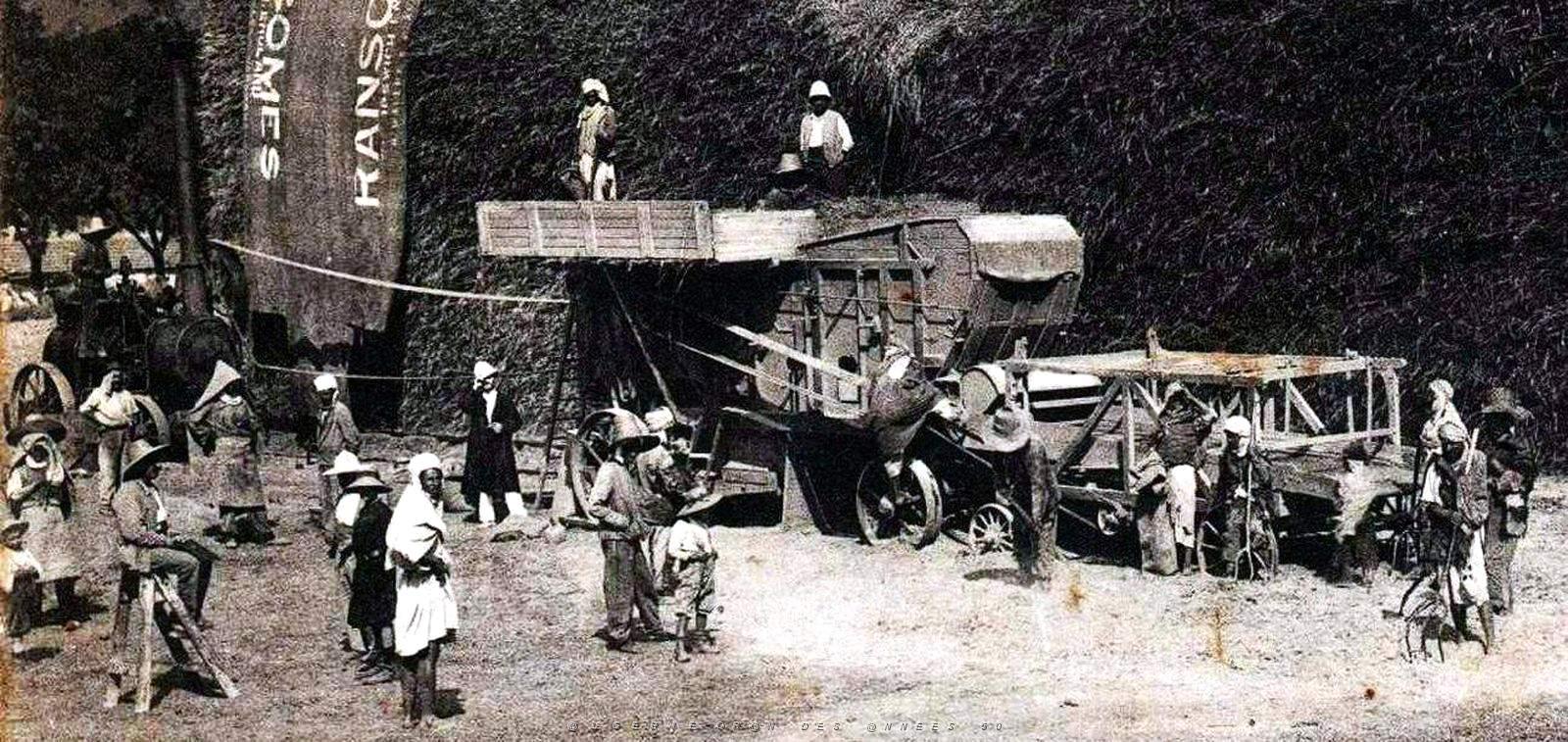 1923- Amouchas - Pres de Setif - Battages2 Conster.jpg